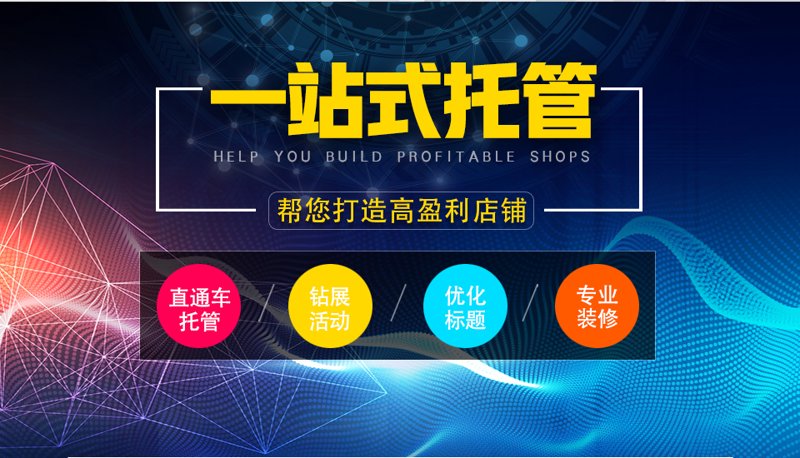 站群程序出售市场探析
